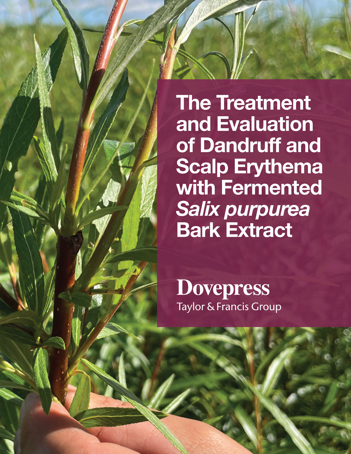 Salixin-Dandruff-Paper_Clinical-Cosmetic-and-Investigational-Dermatology-copy_Page_01